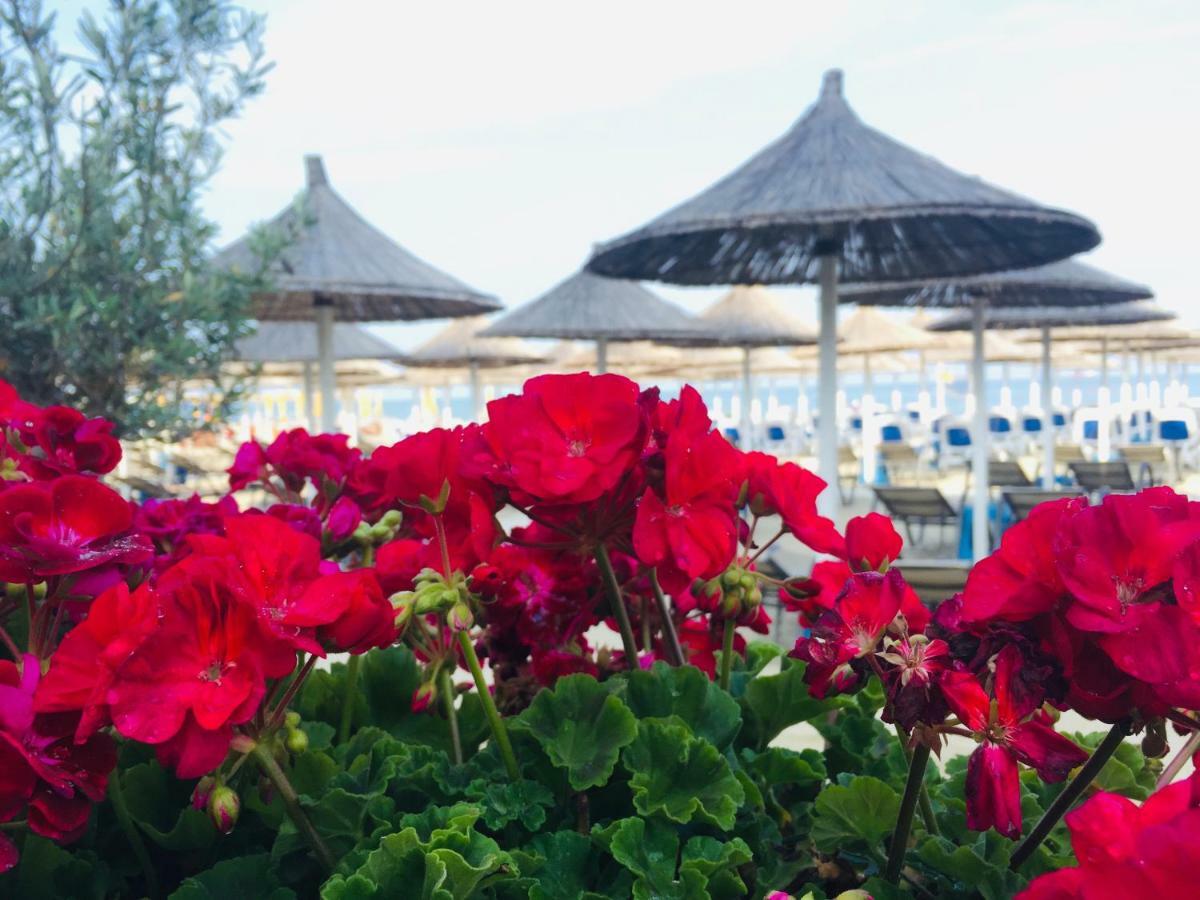 Apartament Comfy Durrës